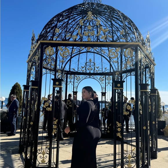 Black Feather-Trimmed Dress - Picture 8 of 8